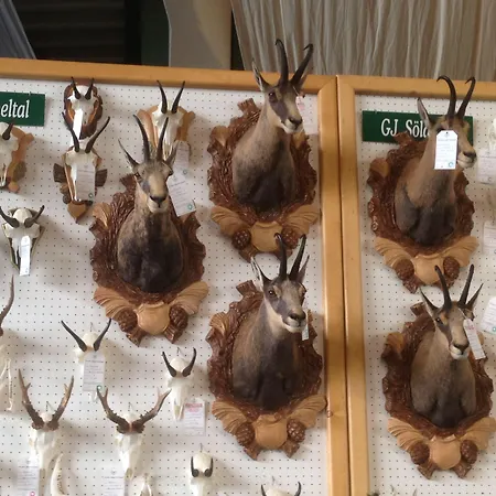 Appartementhaus Sieglinde Appartamento Sölden