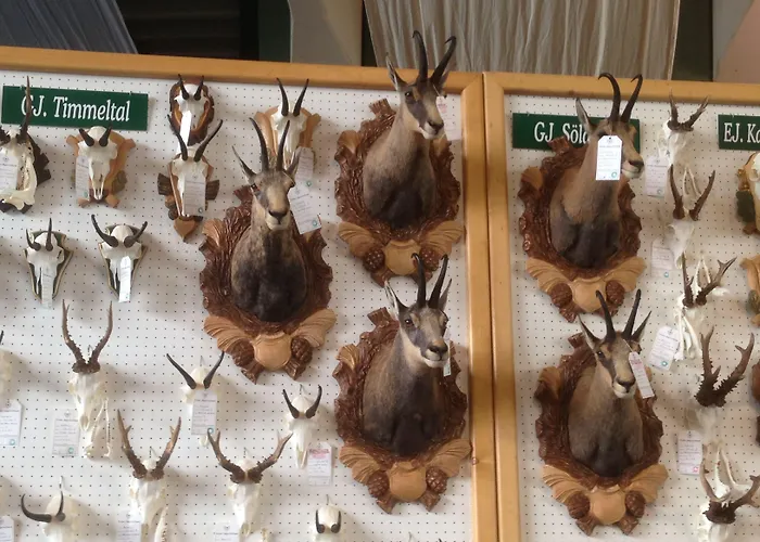 Appartementhaus Sieglinde Appartamento Sölden